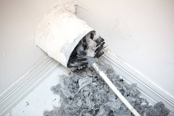 Best HVAC System Cleaning  in Lexington Park, MD